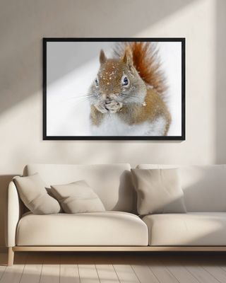 Christmas Squirrel