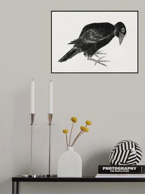 Bird, From Album of Sketches (1814) Vintage Japanese Woodblock Prints