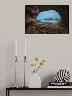 View from a Hollow Tree