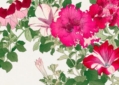 Vintage Petunia Flower No.2