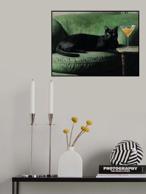 Black Cat Green Sofa Chill