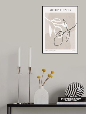 Lemon Essence Ballet