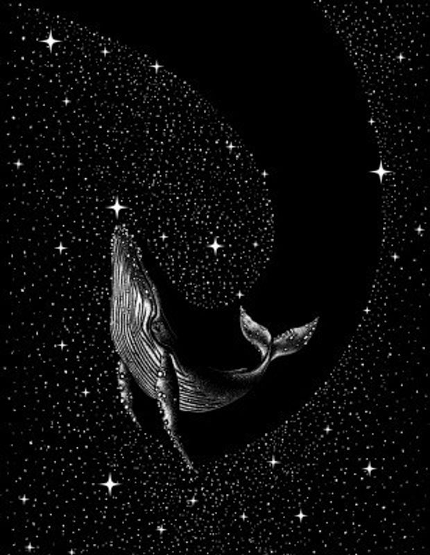 Starry whale (Black Version)