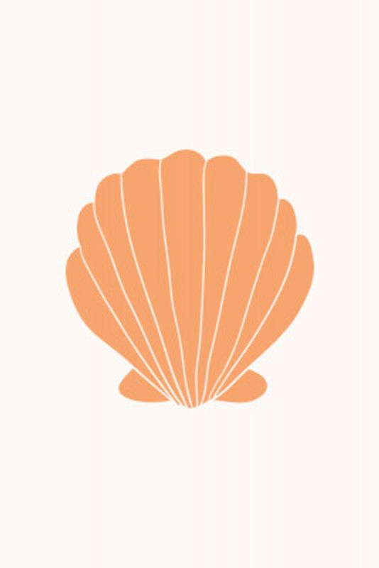 Orangeclamshell Ratio2x3