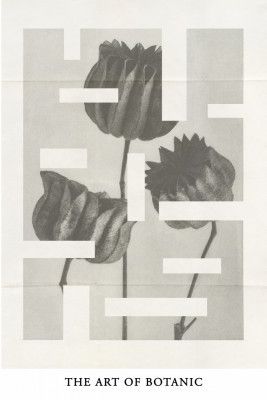 The art of botanic No.1