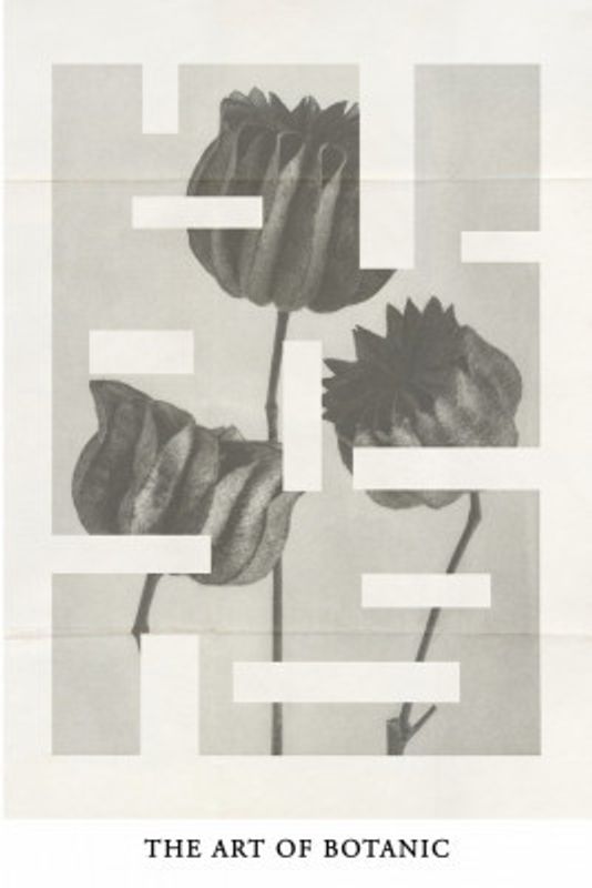 The art of botanic No.1