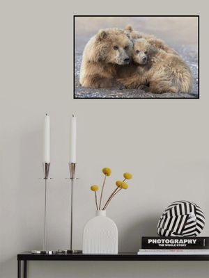 Momma Bear and Cub Aware