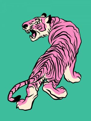 Pink Tiger Against A Teal Background