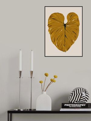 Philodendron Gloriosum Mustard