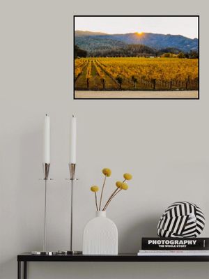 Welcome to Napa Valley