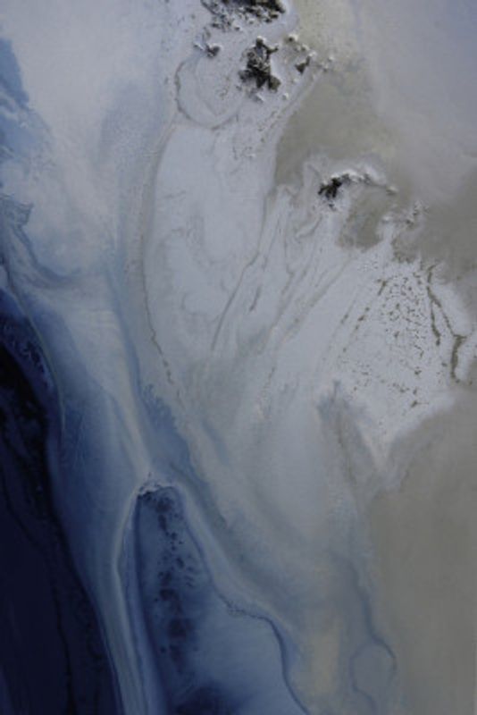 Marine Majesty 3 Tifupscaled Cgi 13287w