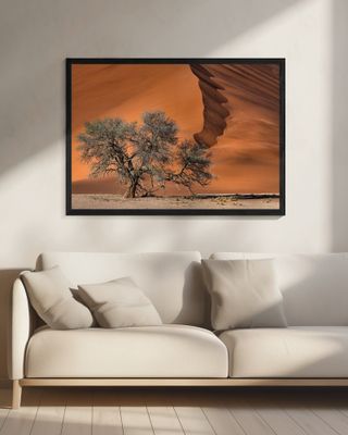 Acacia in the desert