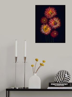 Floral Fireworks