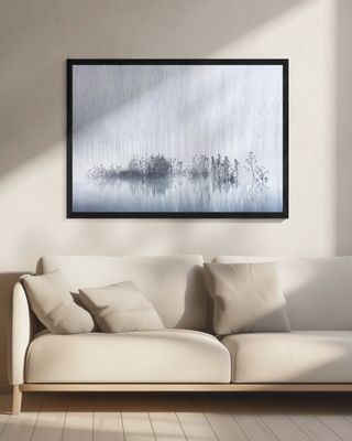 Cold &amp; Foggy Morning in the Swamp