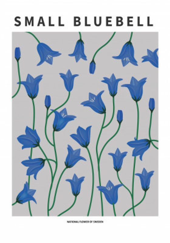 Small Bluebell - National flower of Sweden