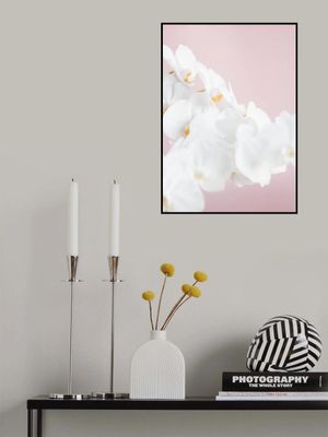 Orchid_1
