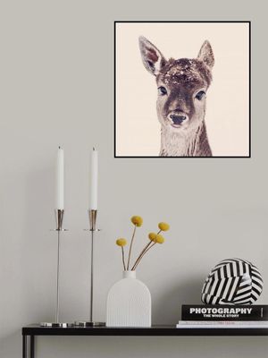 Young Deer With Snowflakes