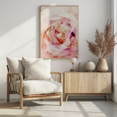 Dreamy Pink Rose