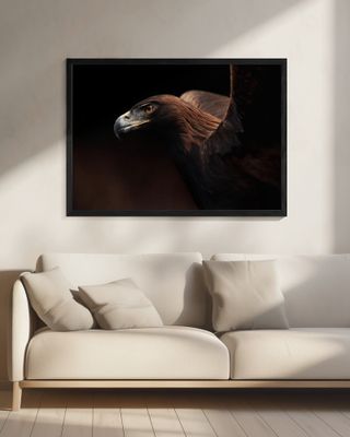 Golden Eagle portrait