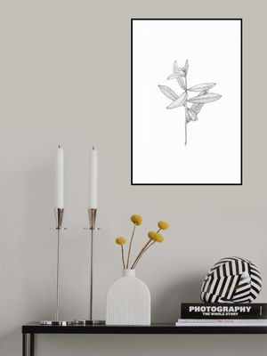 Delicate Leaf Sketch