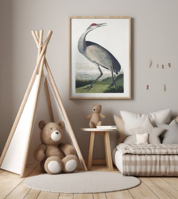 Hooping Crane From Birds of America (1827)