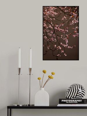 Soft Glowing Blossoms