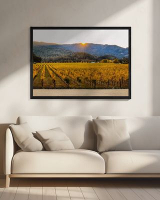 Welcome to Napa Valley