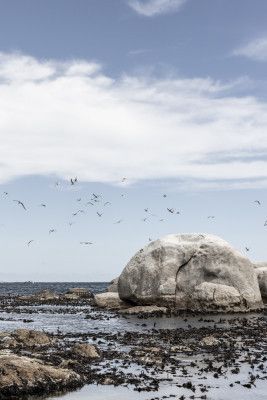 Rocky Seashore Under A Clear Sky