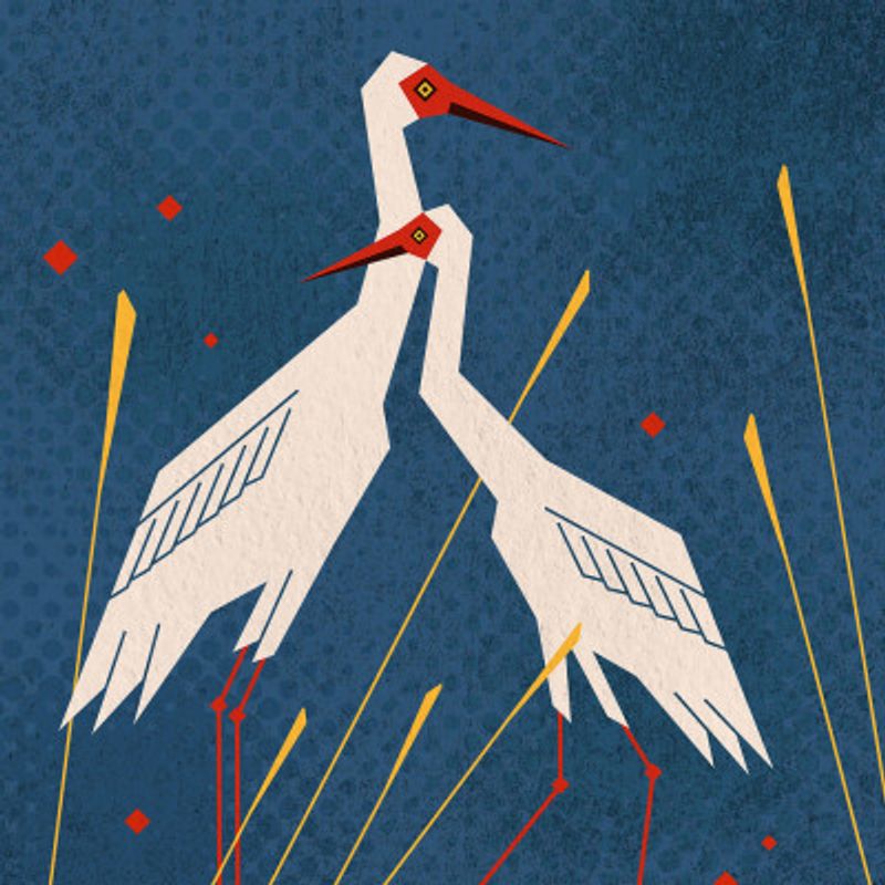 Bird Series   Geometry Crane