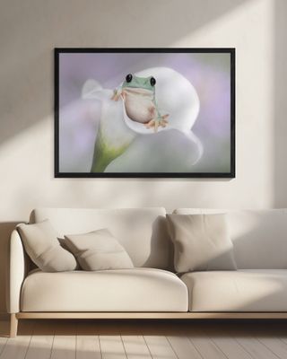 White's Tree Frog on a White Lily