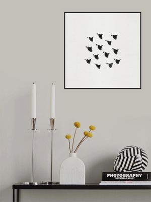 Birds In Flight   Flock