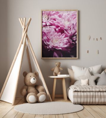 Vibrant Pink Chrysanthemums Blossoms