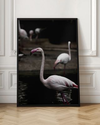 Elegant Pink Flamingo