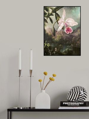 Orchid Blossoms (1873)