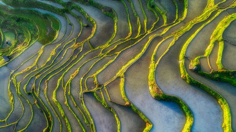 Terraced Fields