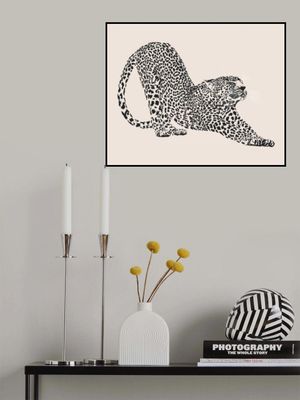 Cheetah