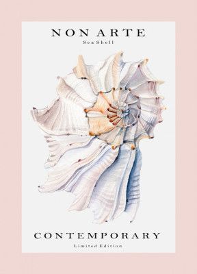 Non Arte Sea Shell no.1