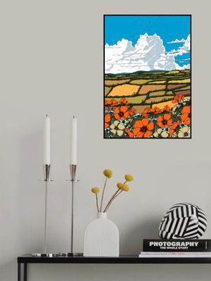 Summer Wildflower Meadow