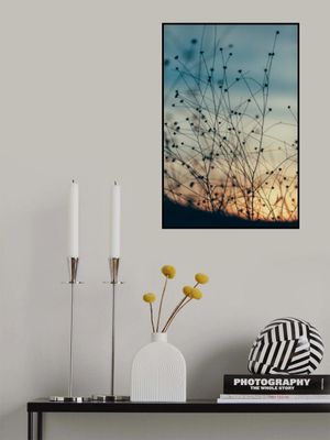 Silhouettes of Wild Grass