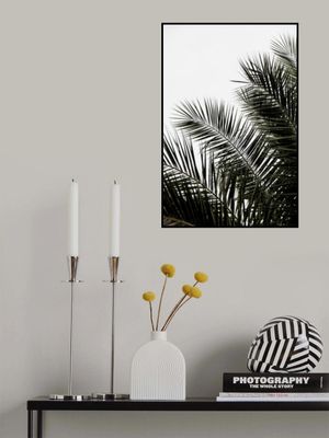 Palm Leaves 3