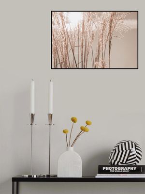 Sunlight Grass Waves