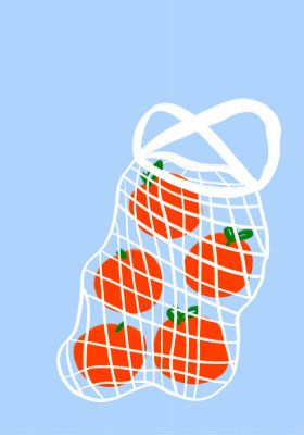 Tomatoes in Mesh