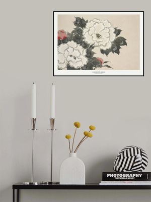 Flowers From Momoyogusa