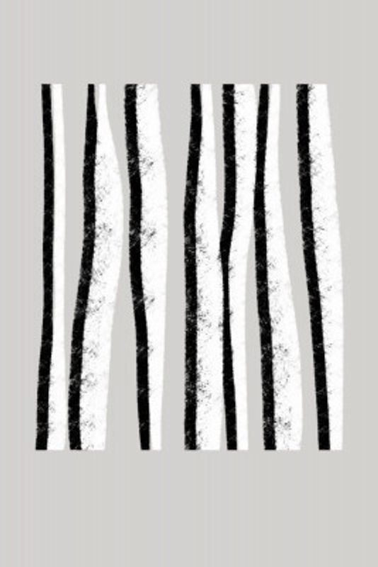 Black And White Vertical Stripes