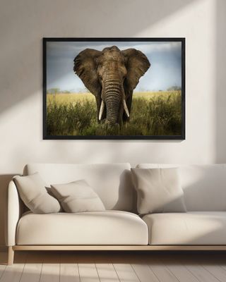 Encounters in Serengeti