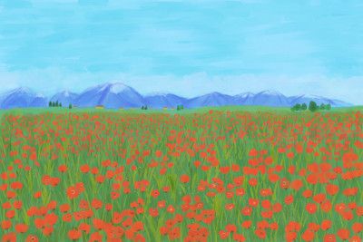 Poppy Field
