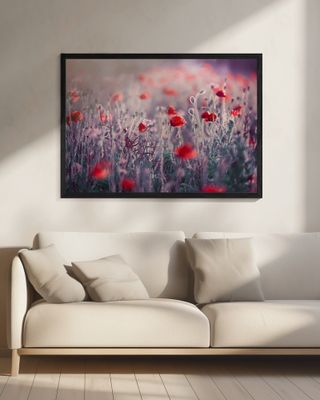 Poppy Meadow