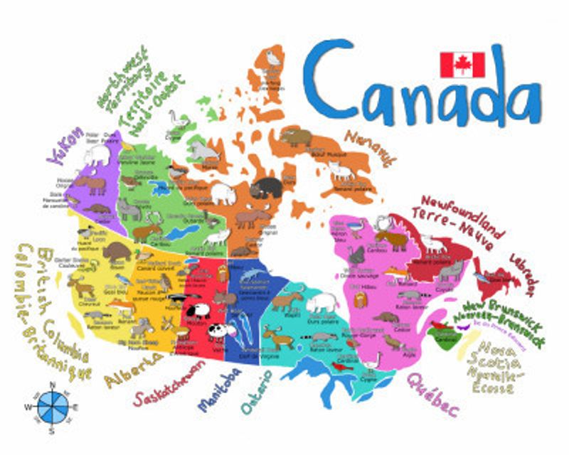 Illustrated Map of Canada with Animals by Carla Daly