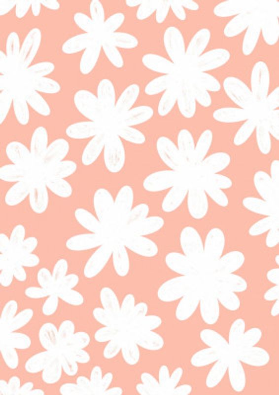 Marguerite Flowers on Rose