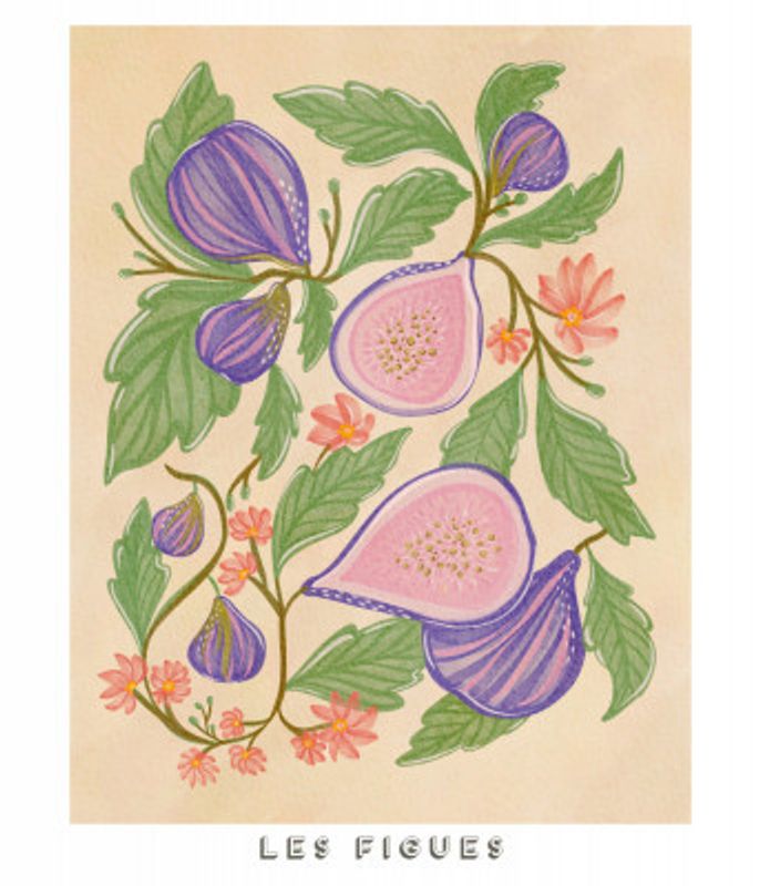 Illustration Of Figs And Flowers